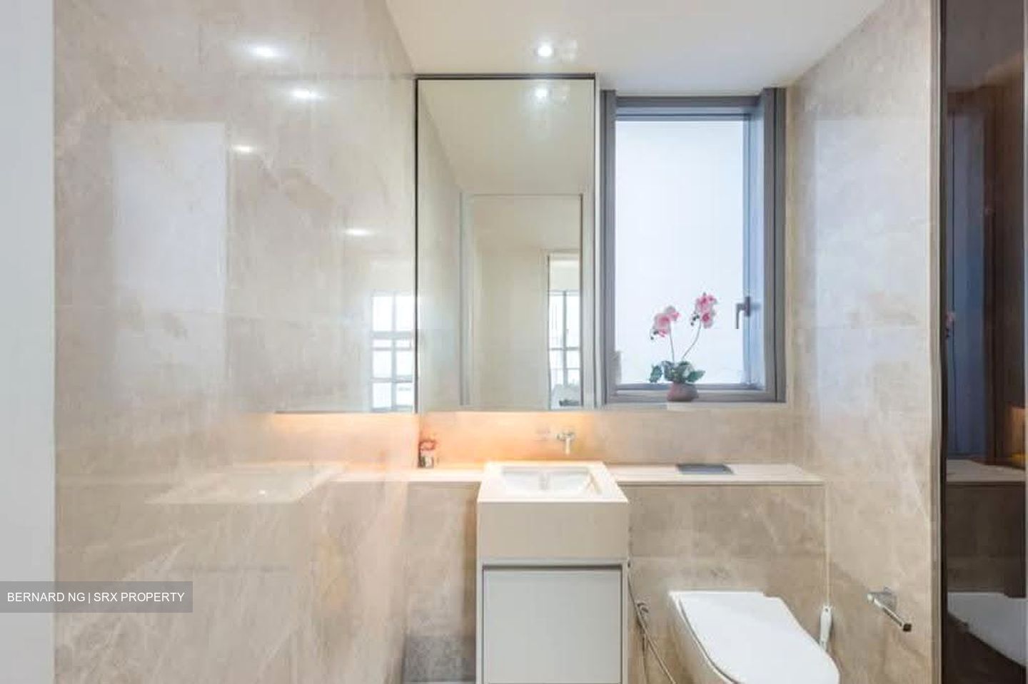 Amber Park (D15), Condominium #612254691